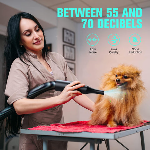 Pet Dryer, 5.2HP/3800W Pet Grooming with Adjustable Speed and Temperature Control Dog Blow Dryer, Pet Hair Dryer with 3 Nozzle