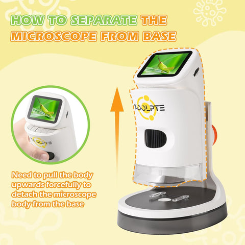 1000X Kids Microscope HD Pocket, 2.1'' LCD Screen Kids Mini Microscope (8-12 years old), Mini Science Microscope Playset, Children's Educational Gift, Includes 32 GB TF Card